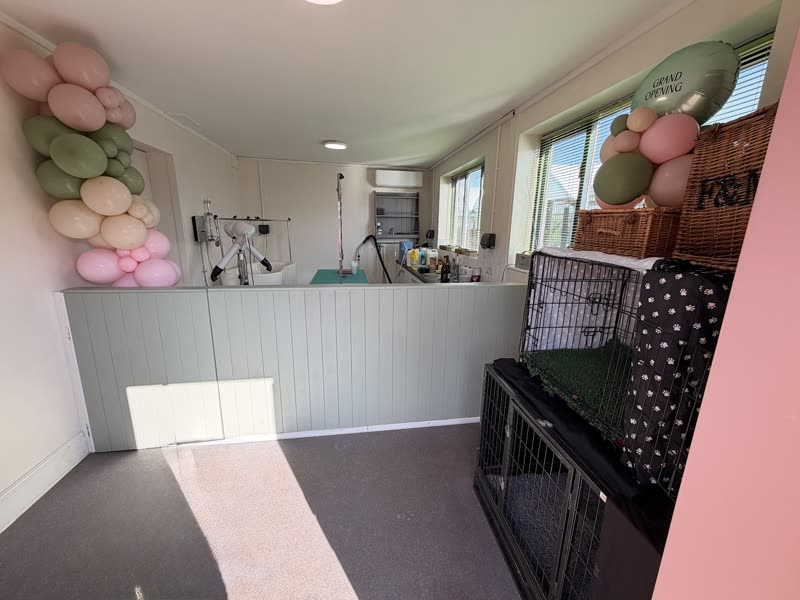 The grooming salon interior in pale sage and white, with reception counter, grooming table and crates along the pink wall